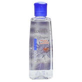 Lovillea Musky Floral Gelly Cologne - 100ml - ShopXonline
